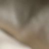 taylor_g021